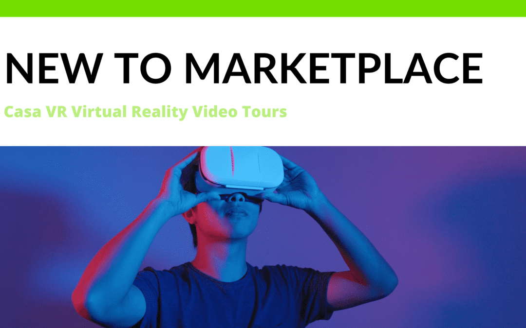 Virtual Reality Video Tours